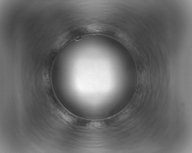X0000067940418200604131454