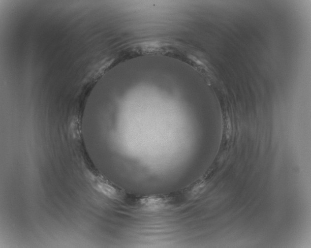 X0000067940419200604131454