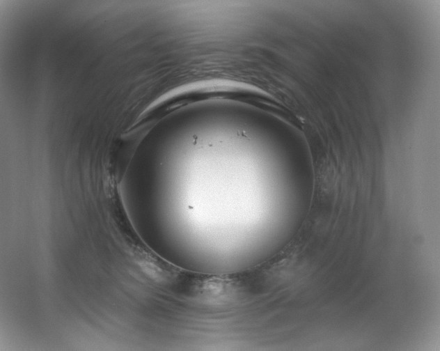 X0000067940420200604131454