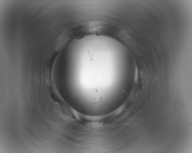 X0000067940421200604131454