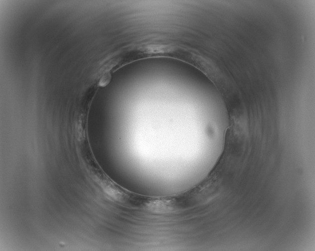 X0000067940422200604131454