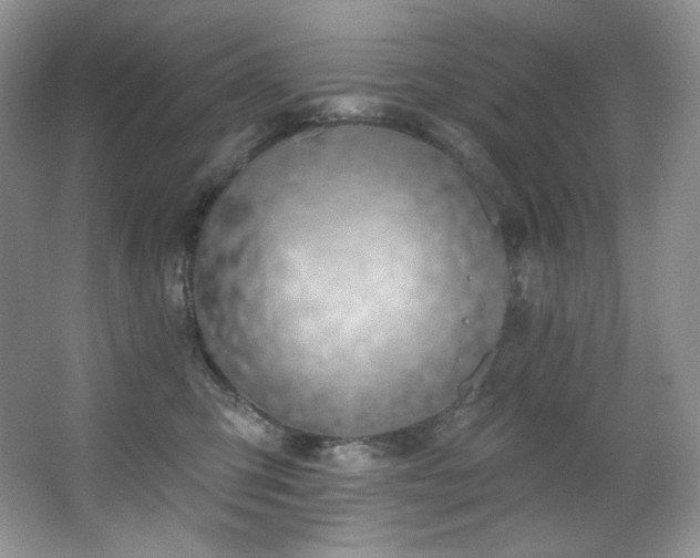 X0000067940423200604131454