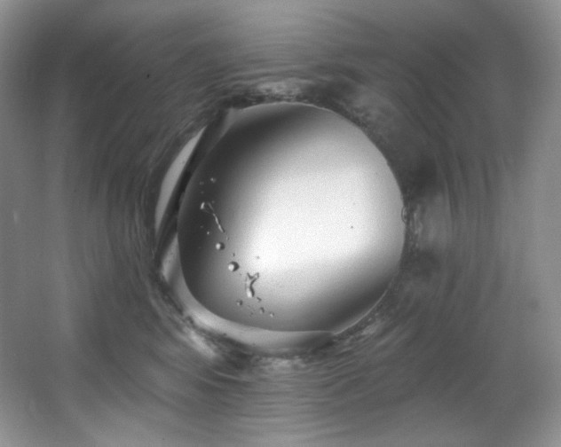 X0000067940424200604131454