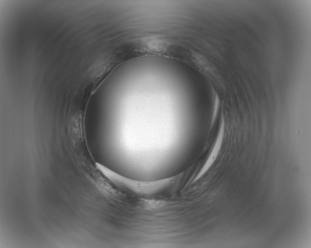 X0000067940425200604131454