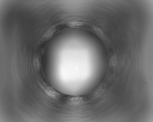 X0000067940426200604131454
