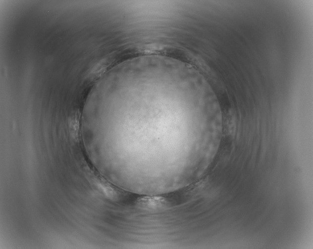 X0000067940427200604131454