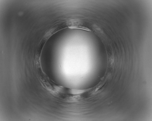 X0000067940429200604131454