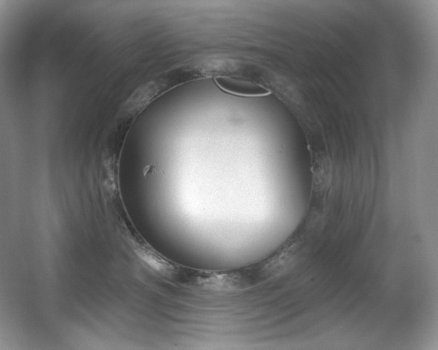 X0000067940430200604131453