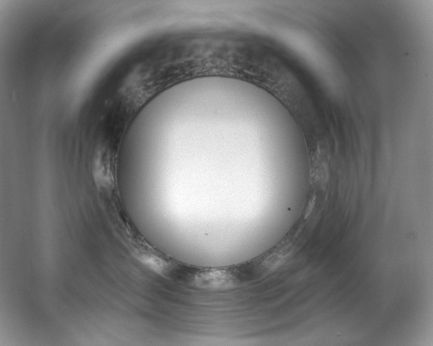 X0000067940431200604131453