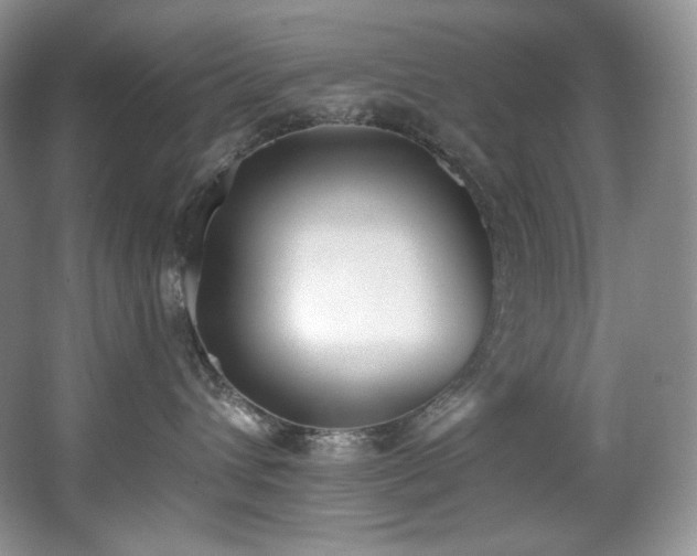 X0000067940432200604131453