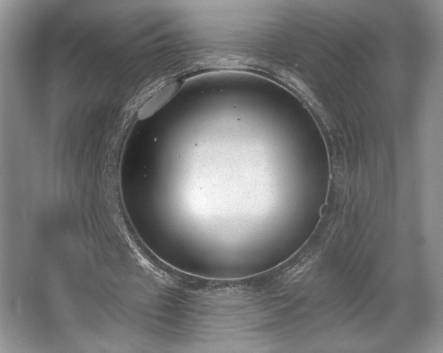 X0000067940433200604131453