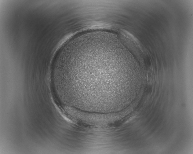 X0000067940436200604131453