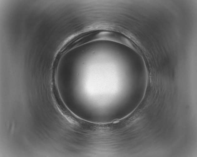X0000067940438200604131453