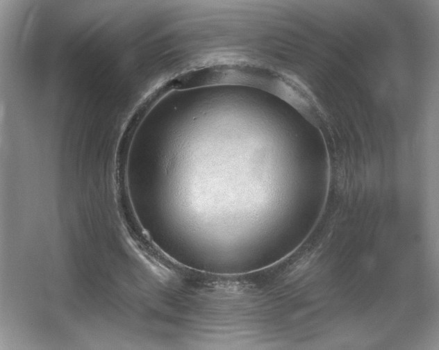 X0000067940439200604131453