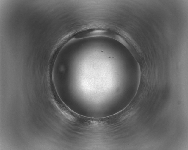X0000067940442200604131453