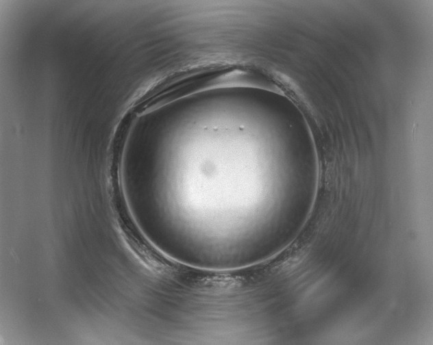 X0000067940443200604131453