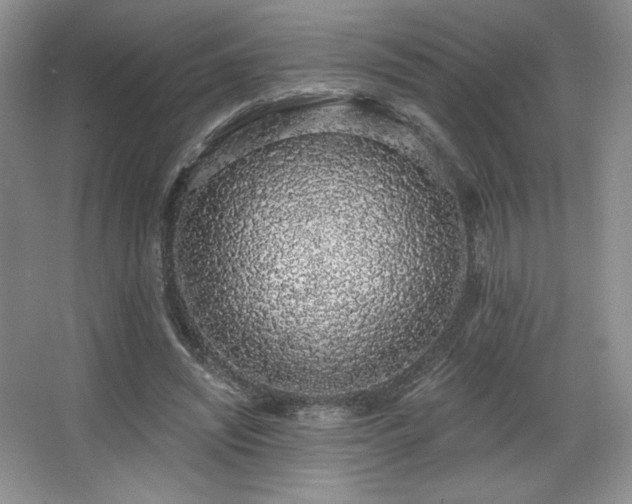 X0000067940444200604131453