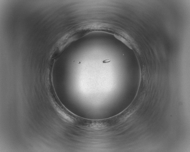 X0000067940445200604131453