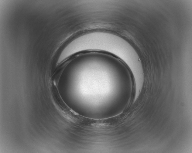 X0000067940448200604131453