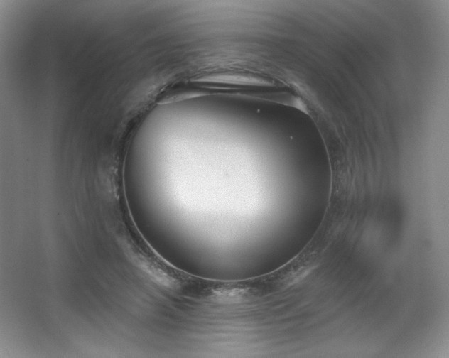 X0000067940450200604131453