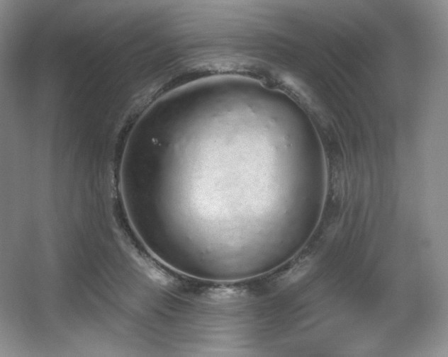 X0000067940453200604131453