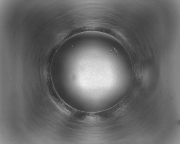 X0000067940455200604131453