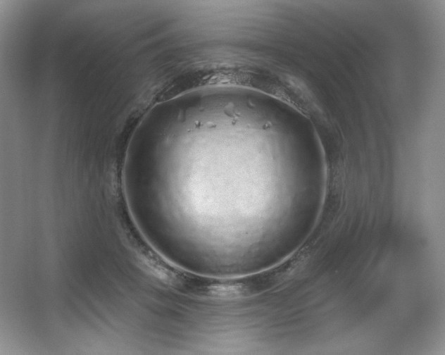 X0000067940457200604131453