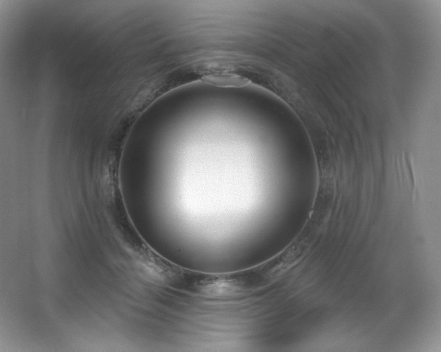 X0000067940460200604131453