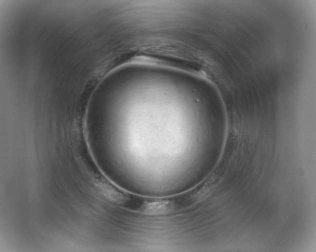 X0000067940461200604131453