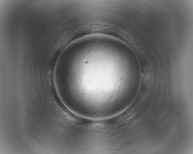 X0000067940462200604131453