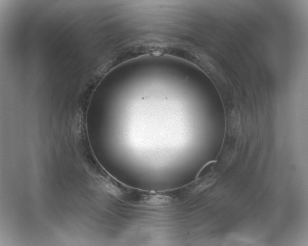 X0000067940463200604131453