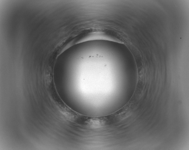 X0000067940464200604131453