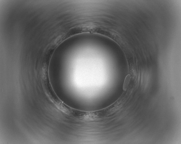X0000067940468200604131453