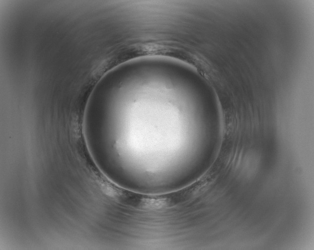 X0000067940469200604131453