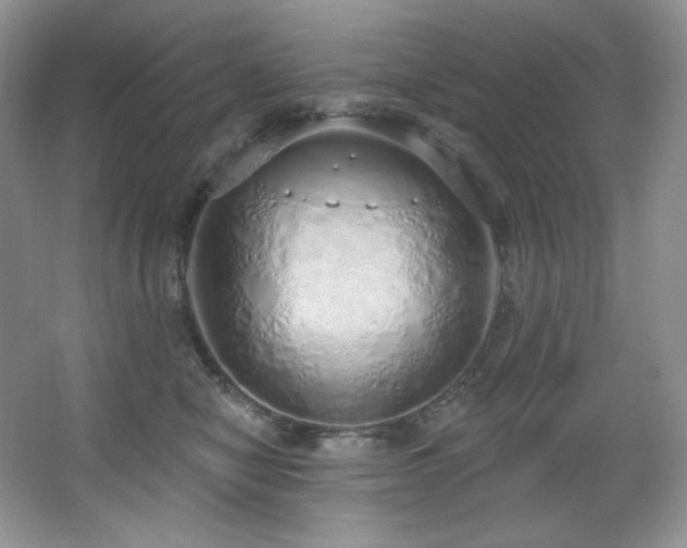 X0000067940470200604131453