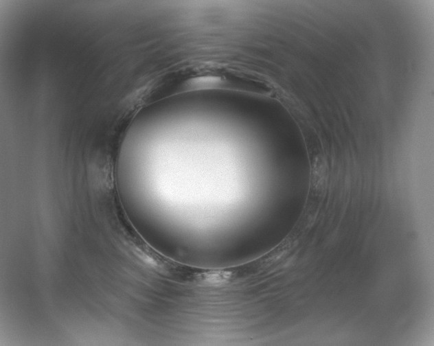 X0000067940474200604131453