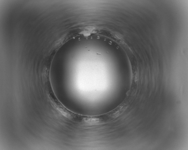 X0000067940476200604131453