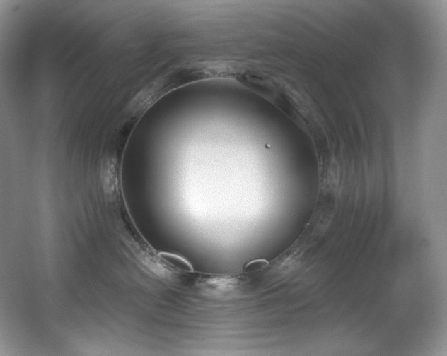 X0000067940478200604131453