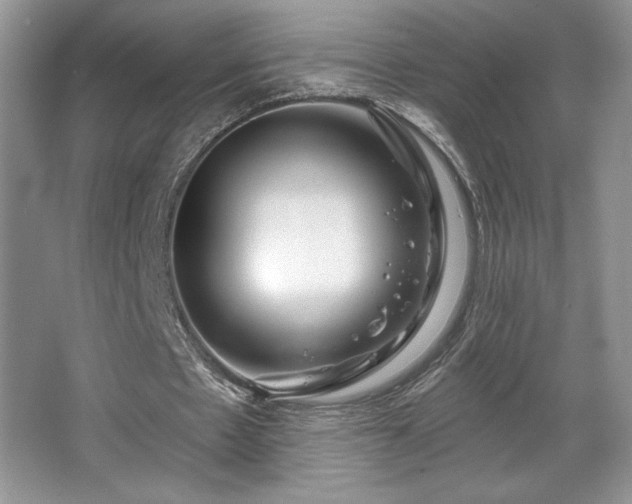 X0000067940481200604131453