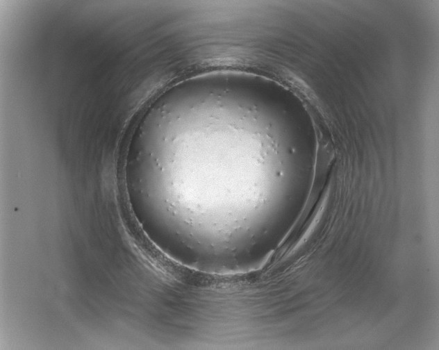 X0000067940482200604131453