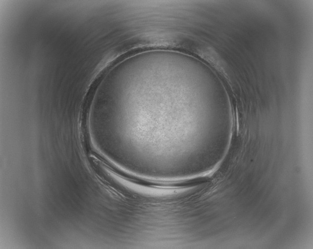 X0000067940483200604131453