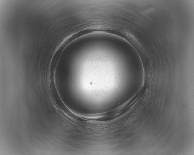X0000067940484200604131453