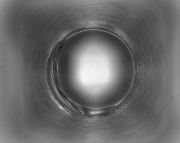 X0000067940485200604131453