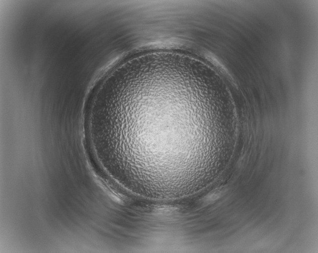 X0000067940486200604131453