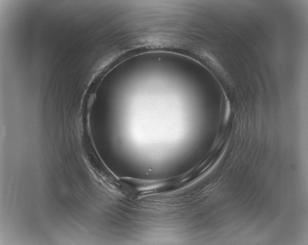 X0000067940488200604131453