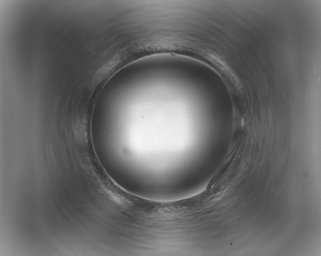 X0000067940489200604131453