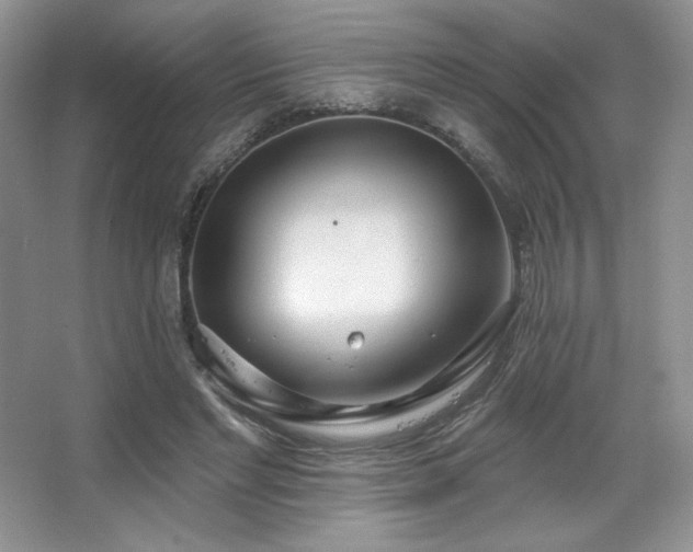 X0000067940493200604131452