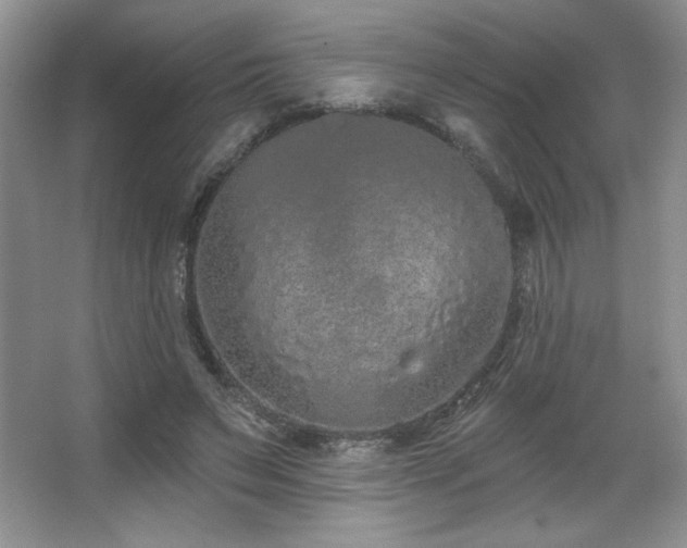X0000067940495200604131452