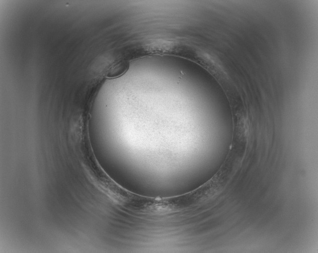 X0000067940498200604131452