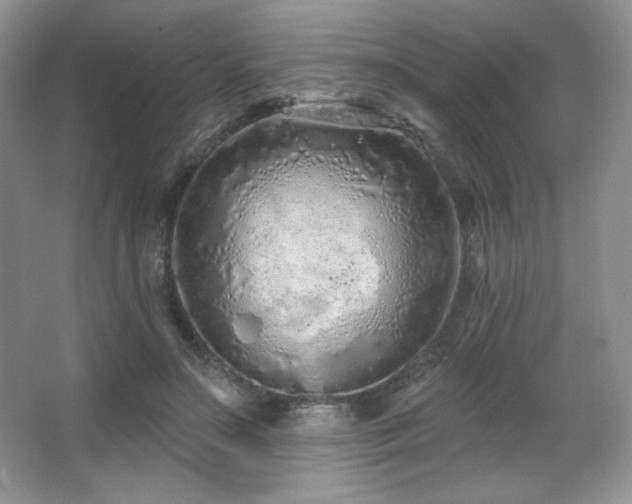 X0000067940499200604131452